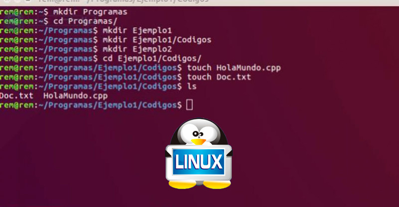 What can be done with the Linux terminal commands?