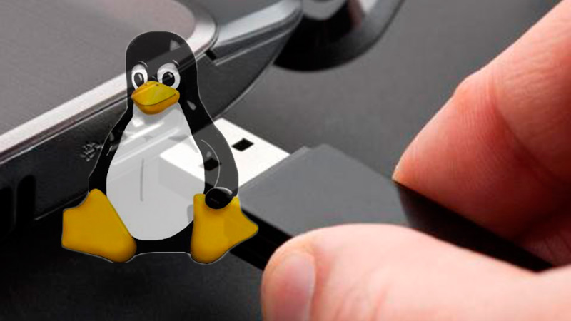 How do I know which Linux distribution to install on my computer?