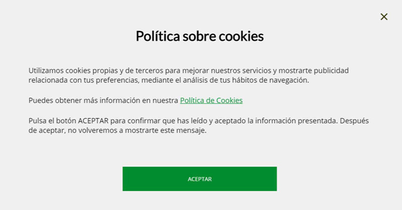 What are the risks of allowing websites to use Cookies in our browser?