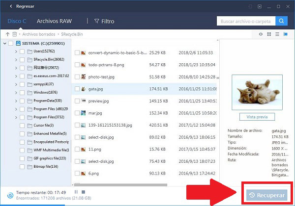 Recover Deleted Items From Server Outlook 365 Sweettop