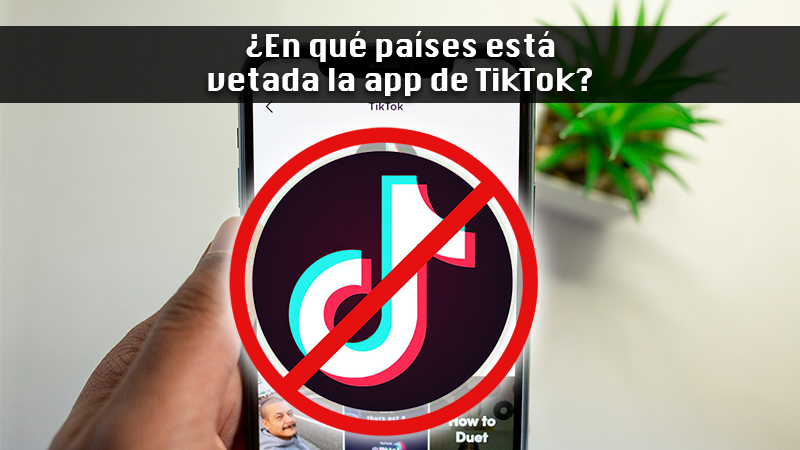 In which countries is the TikTok app banned and why can't I use it in them?