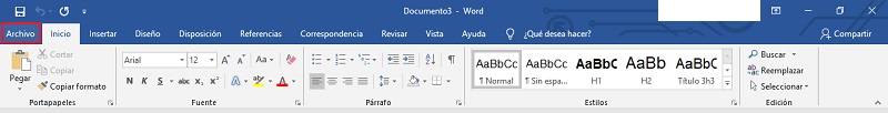 choose the file option in word