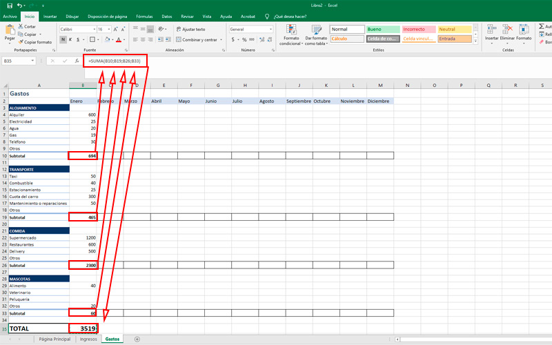 Individual sum in Microsoft Excel