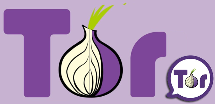 Tor the anonymous network