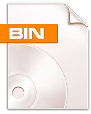 files with .BIN extension