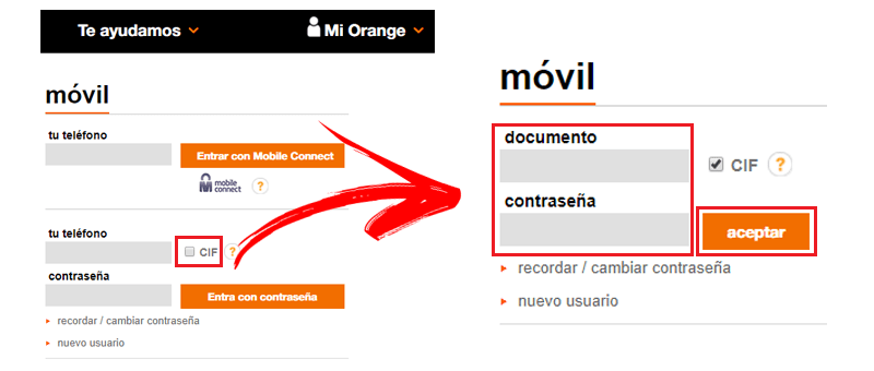 Access Orange email account from client area