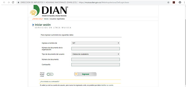 Steps to update the RUT online through the Dian portal for natural persons and avoid queues