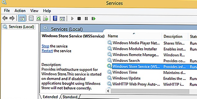 WSService or Windows Storage Service