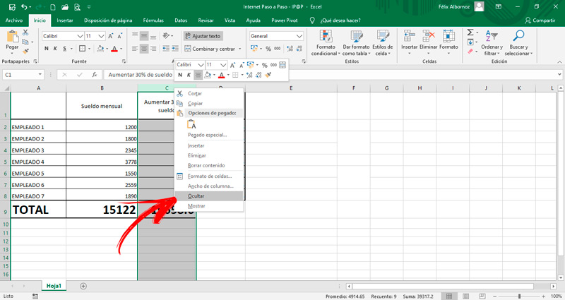 Steps to hide a row or column in an Excel worksheet